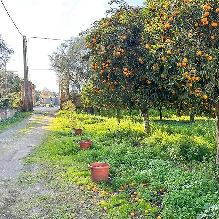 Mesiano بيت للعطل *